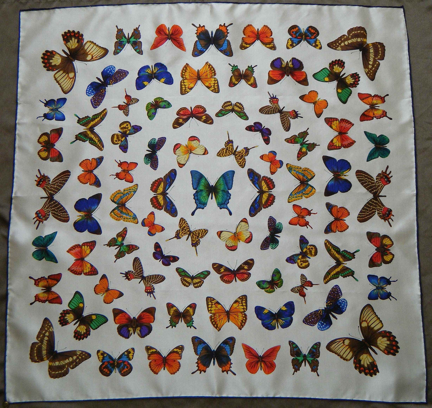 STUNNING Entomology Butterfly Study Silk Scarf with Original Tag, 1960s Italy
