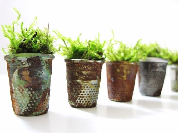 Set of 4 Vintage Thimble Planters with Live Moss