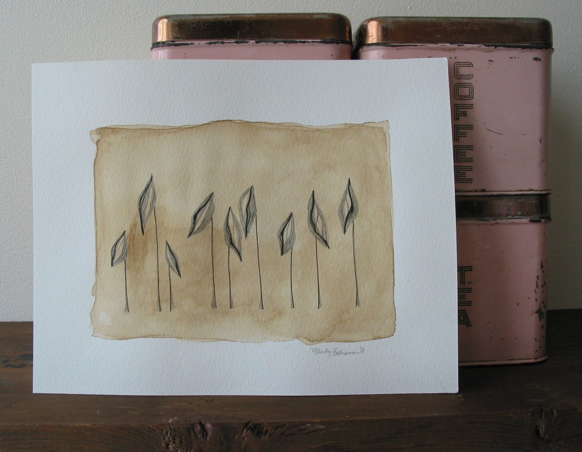 Botany No. 1 - Original Pencil and Ink Drawing on Coffee Stained Watercolor Paper