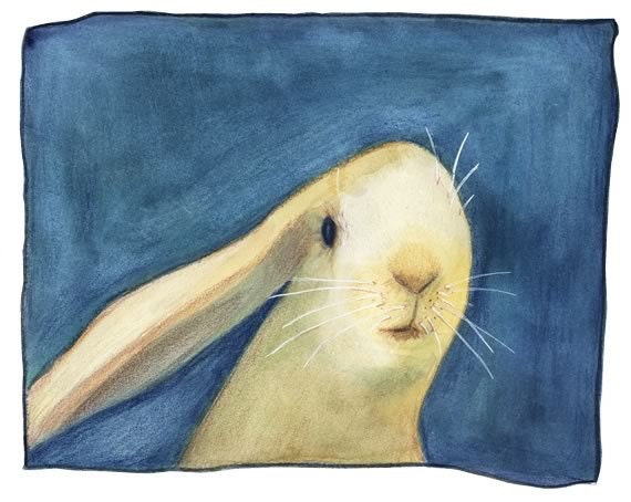 Rabbit Art - "Just Because" - Print no9 from Ltd Edition