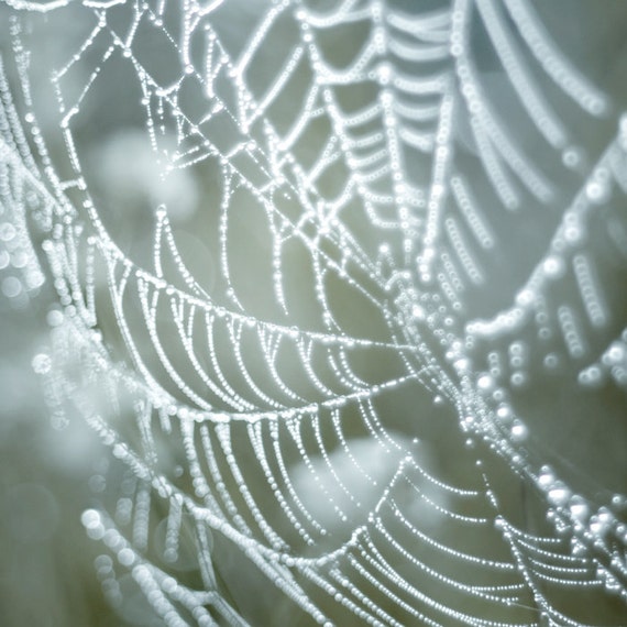 Winter photograph silver spider web water droplets frost bokeh abstract nature photo grey simple neutrals home decor - Diamonds 8x8