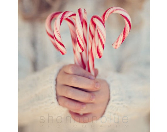 christmas candy cane photograph / holiday, hands, peppermint, stripes, child, winter, red, white / candy cane girl / 8x8 fine art photo