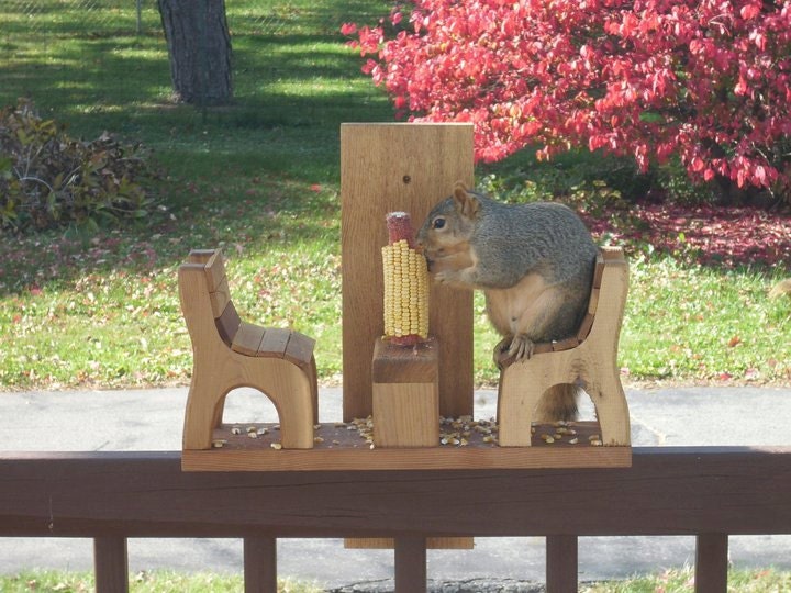 Squirrel Feeder