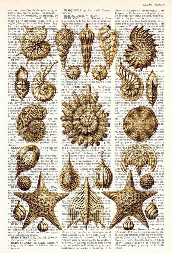Book Print Dictionary or Encyclopedia Page Print- Book print Set Collage Shell Original  Vintage Design Print on Old Book art