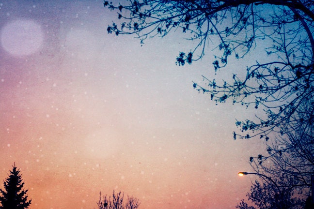 winter blues photograph