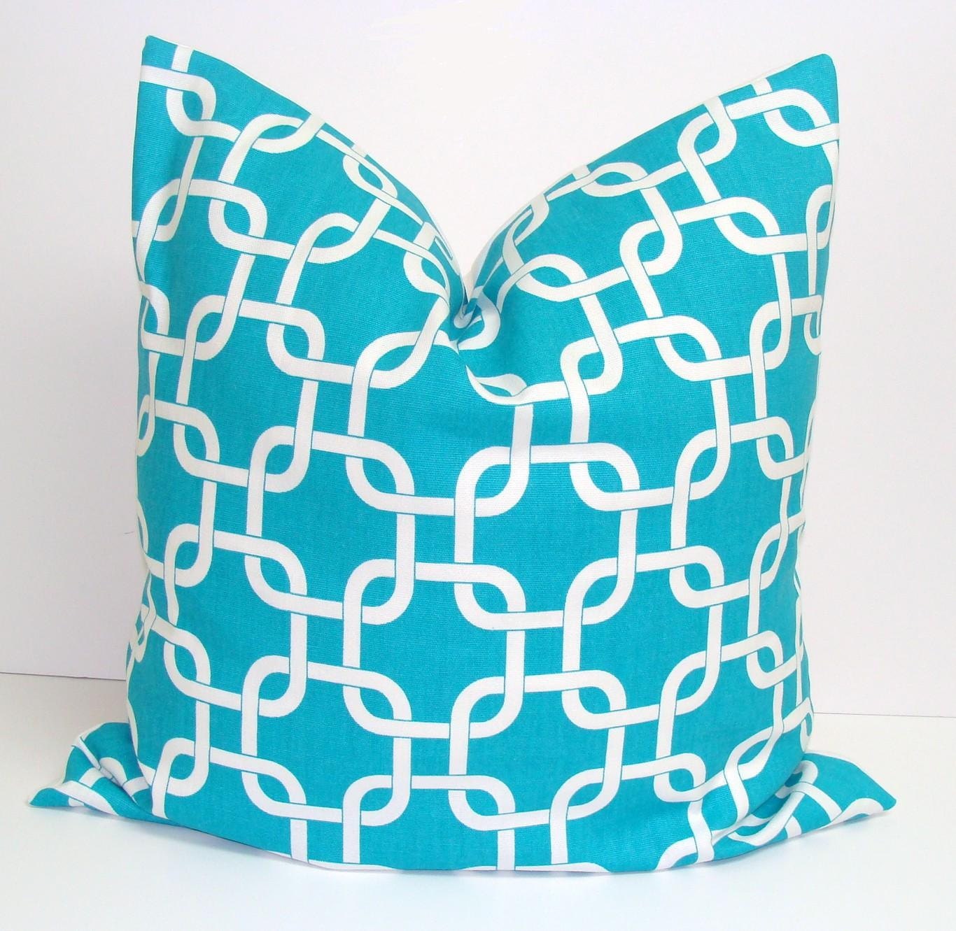 Pillow.Turquoise.ONE 20x20 inch Decorator Pillow Cover.Free Shipping