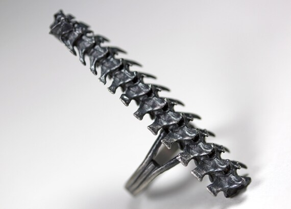 djed. rattlesnake spine ring.