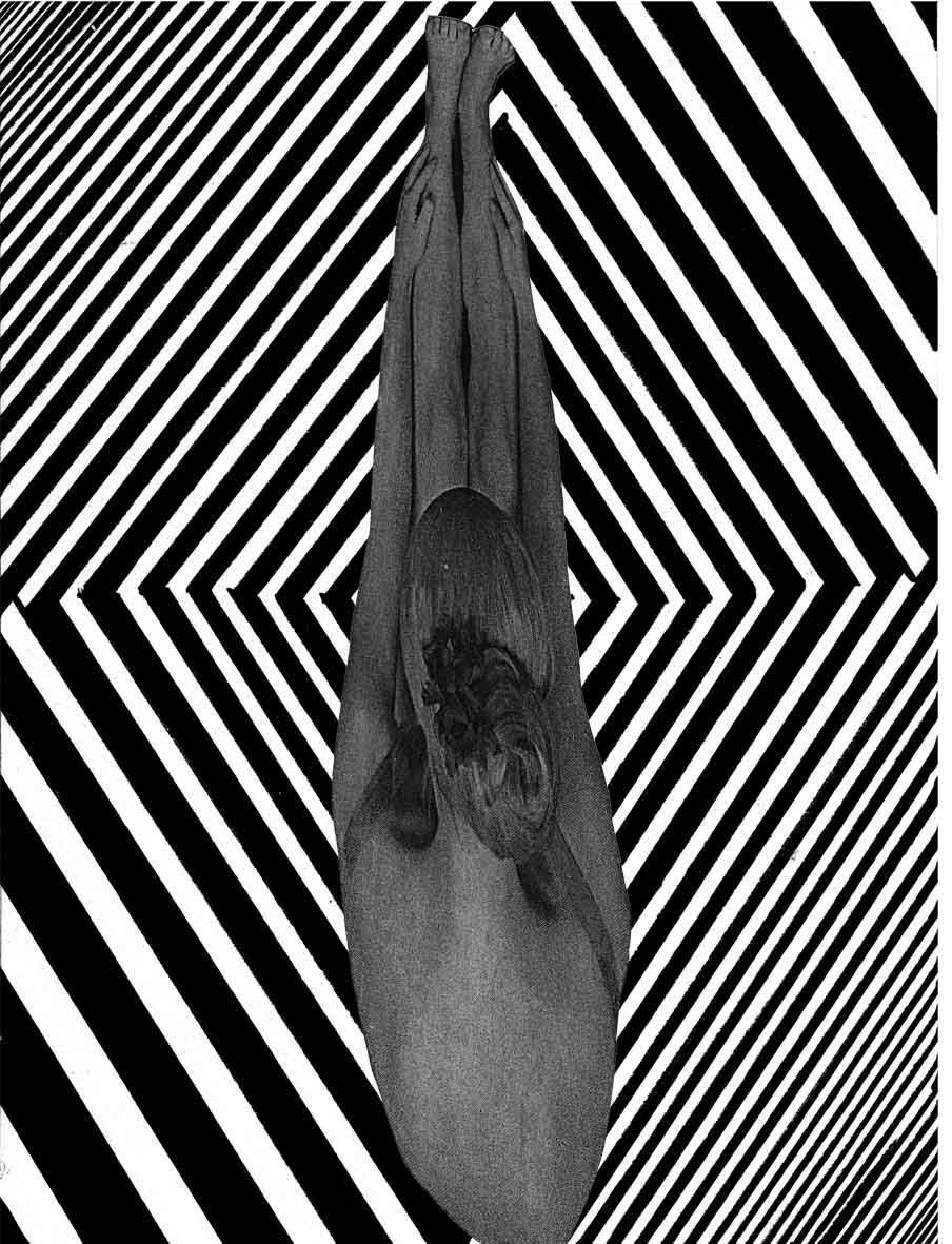 CIRCLES CYCLES CIRCUITS comics/art book