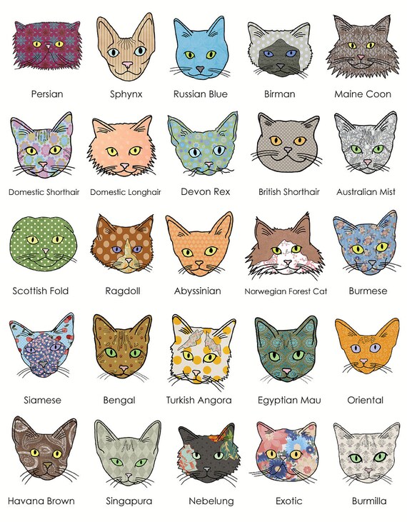 Grey Tabby Cat Breeds