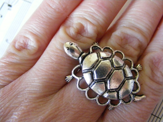 Ring Pet Turtle