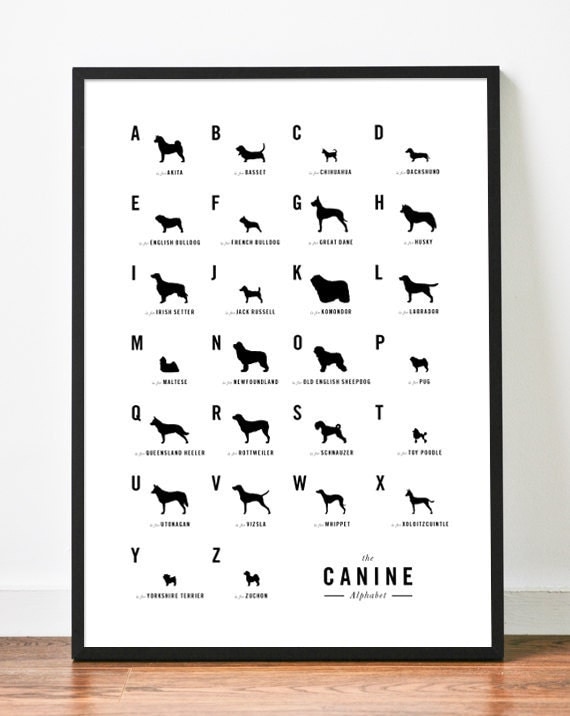 Dog Alphabet Poster by Weavers of Southsea