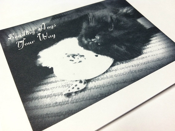 Flat Notecard Set of 5 Black Cat Love Black and White Matte Photo Card