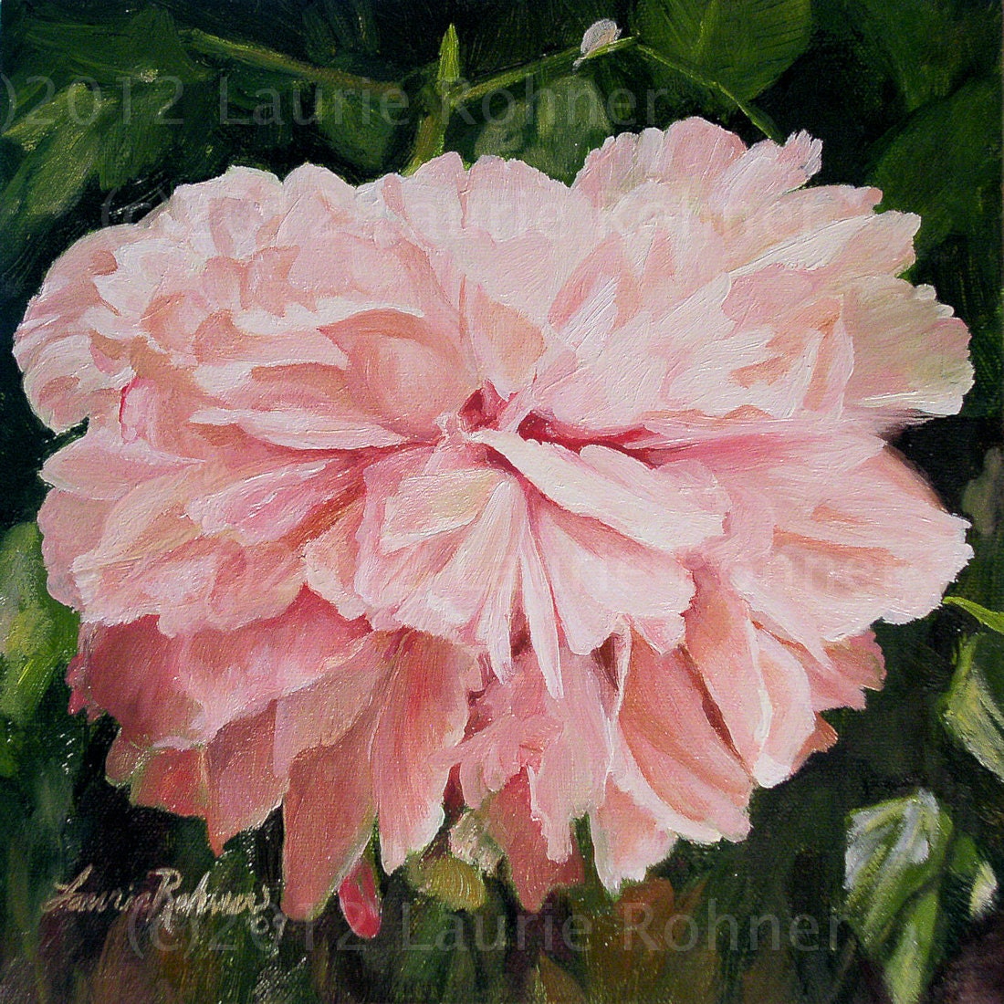 Single Pink Peony Oil on Canvas