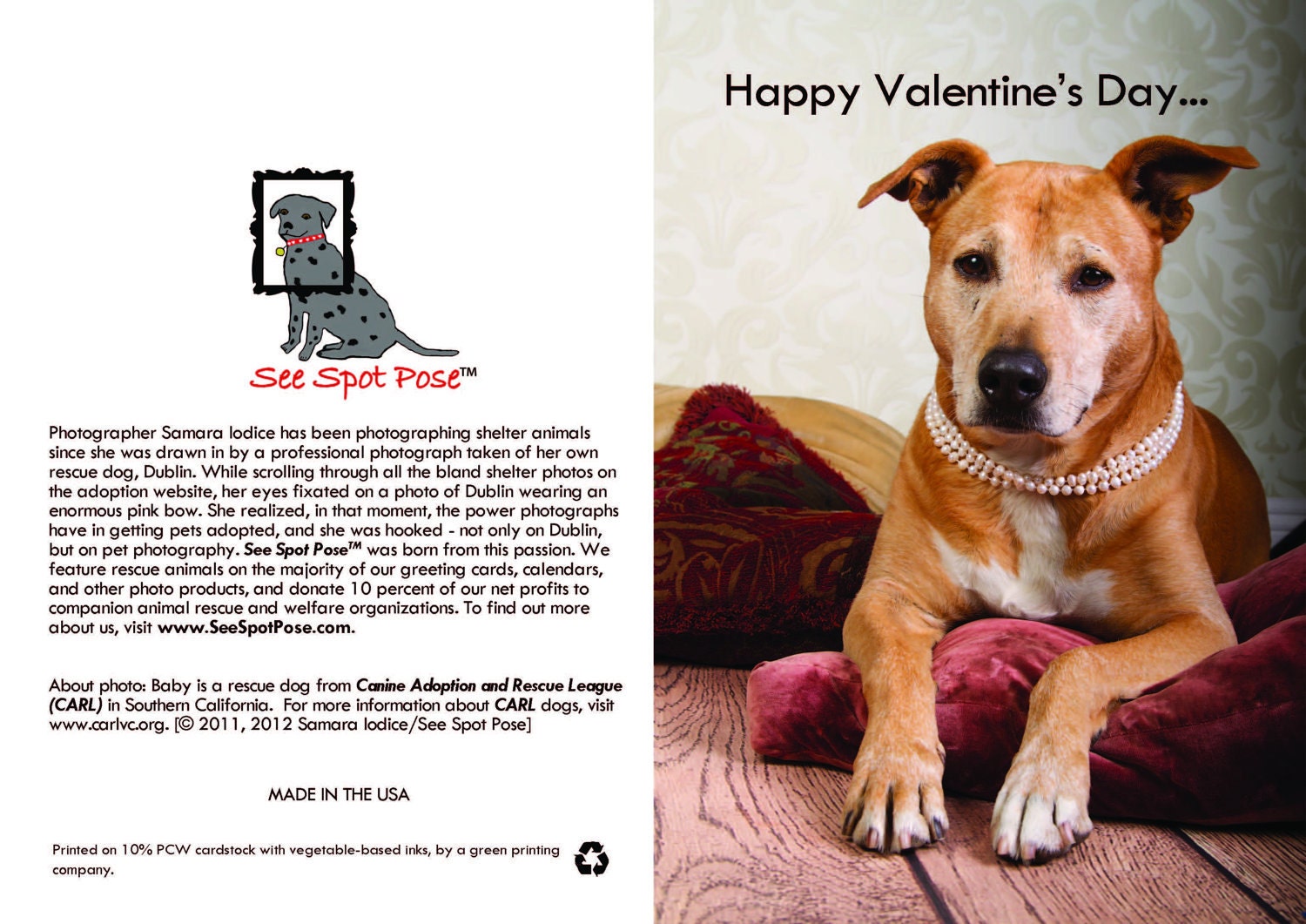 Rescue dog greeting card - Happy Valentine's Day humorous (female)
