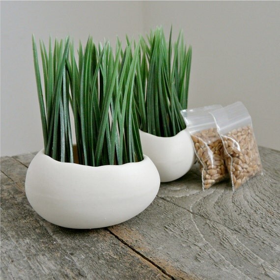 Porcelain Egg Planters, Wheat Grass Kit, Egg Sprouts Set of 2