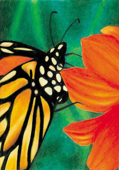 Monarch Butterfly ACEO Limited Edition of 30 prints