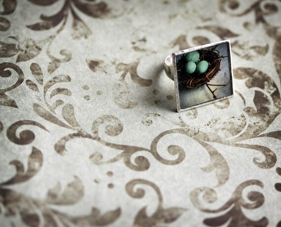 Ode to Spring 15% OFF Robin Egg Ring - Large Cocktail Ring - Photo Jewelry - A Place to Call Home  - original photography