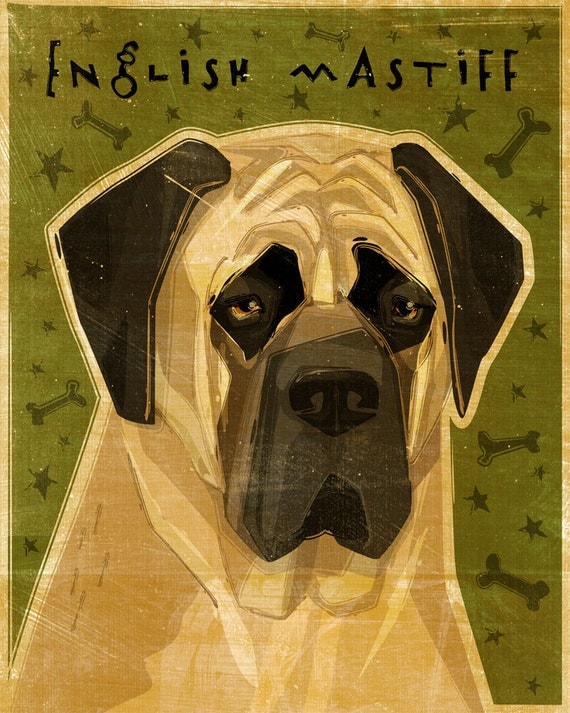 English Mastiff by John W. Golden
