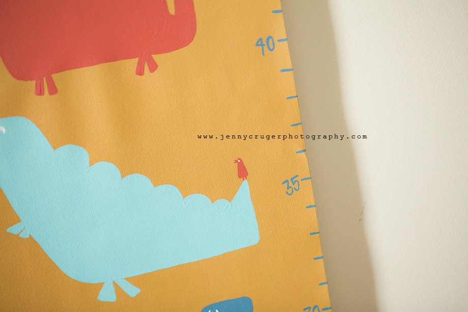 Personalized Hand Painted Children's Growth Chart, Dinosaurs, Land of Nod's When Dinosaurs Roamed the Bedding