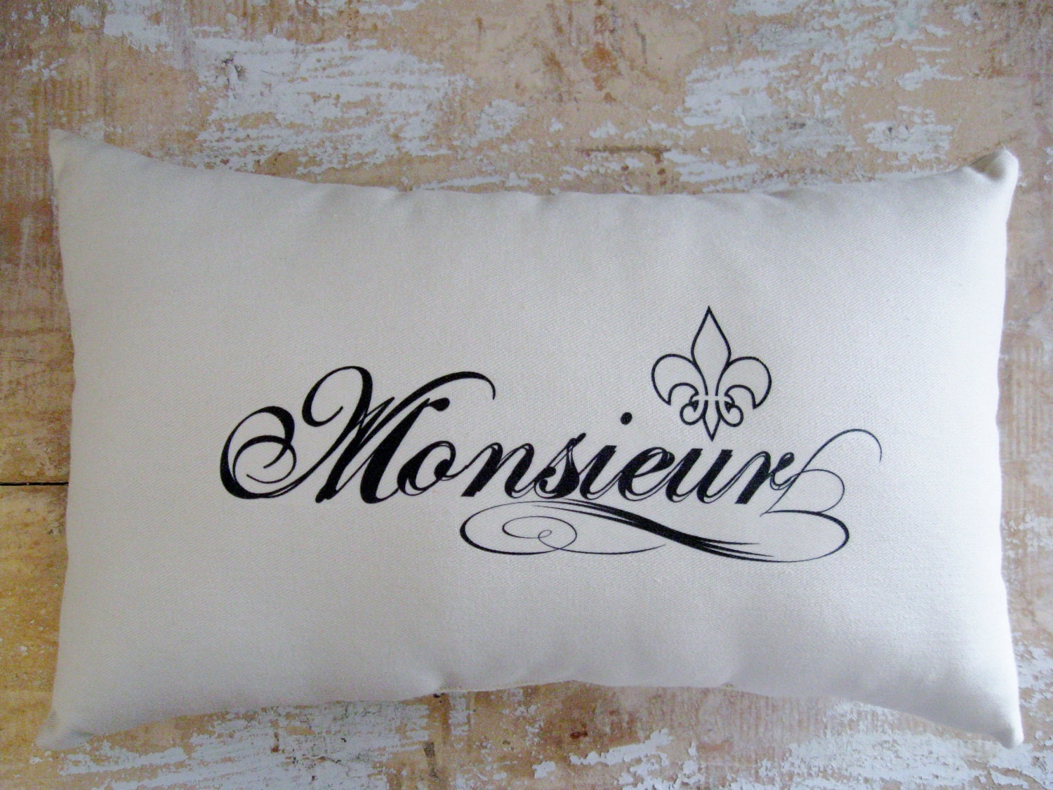 Monsieur Pillow, Fleur de Lis, French, Paris , French Country Home, Cottage Decor, French Decor