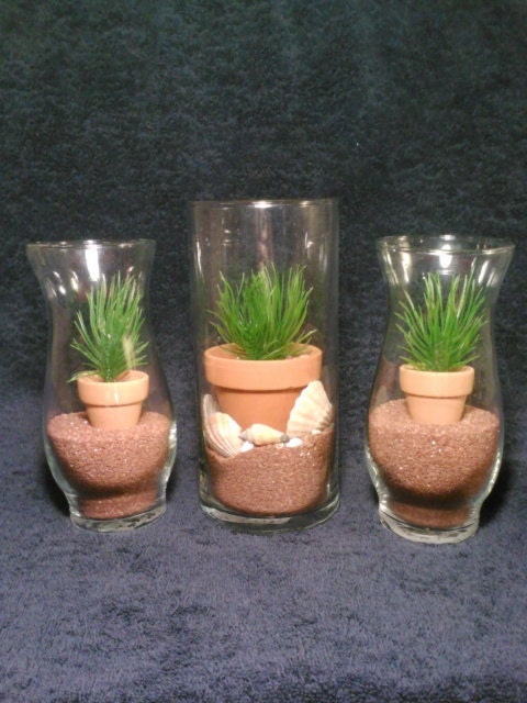 Glass Centerpiece Spring Wedding Sand Shells Mini Flower Pot and Plant 