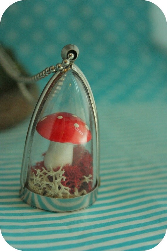 Neclace globe red mushroom with white dots and lichen bicolor