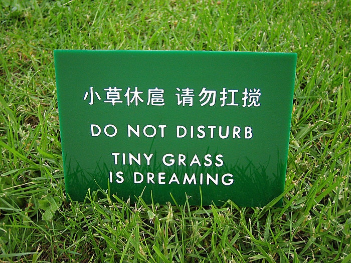 grassdreamingfunny