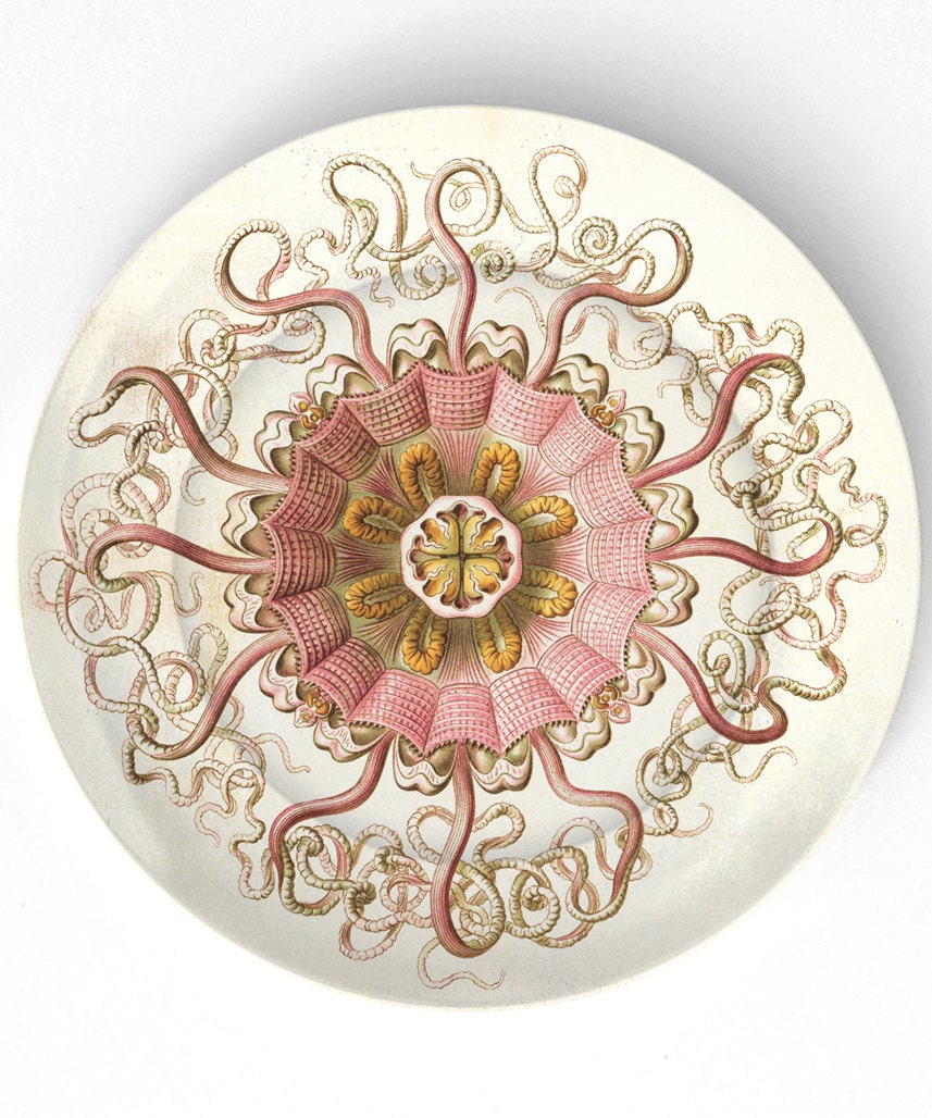Sea Anemone III - 1800s Ernst Haeckel - 10 inch Melamine Plate