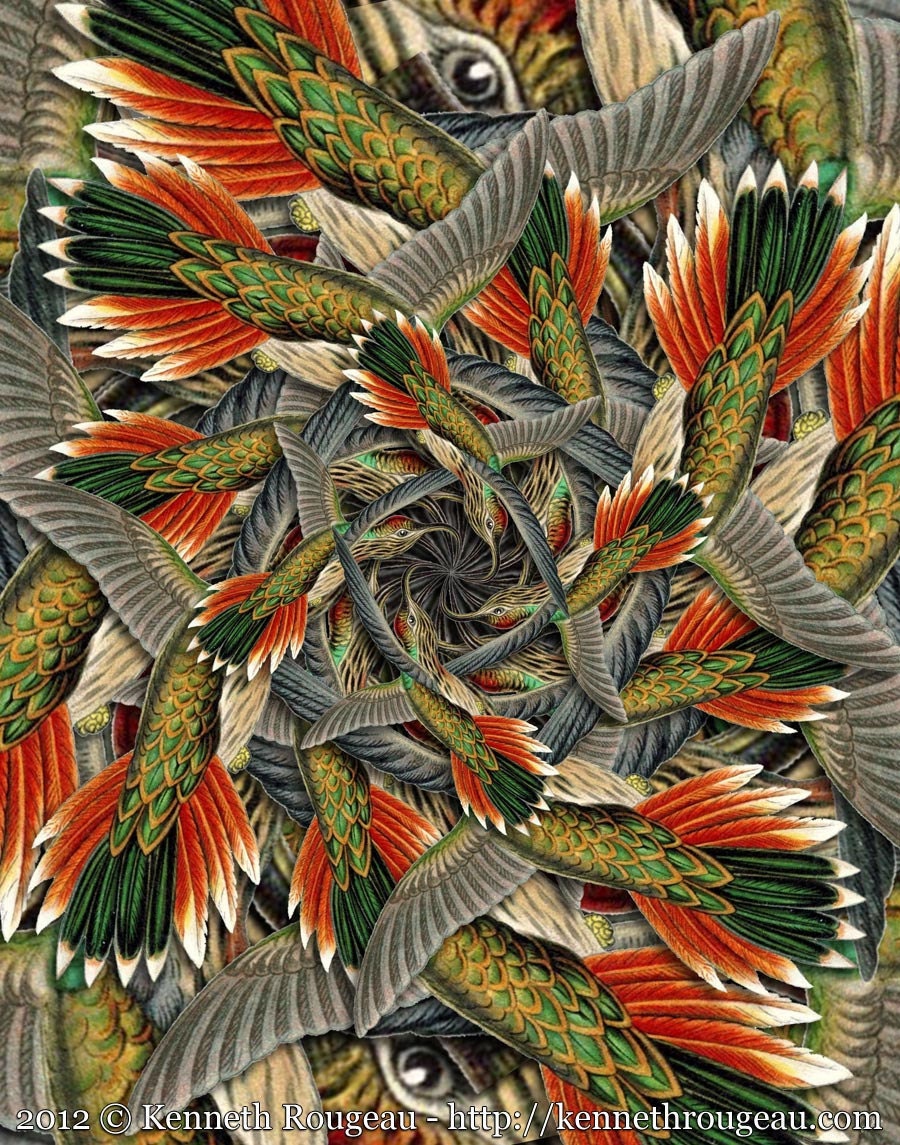 Forms of Nature #7: Hummingbird Forms of Nature #7: Hummingbird