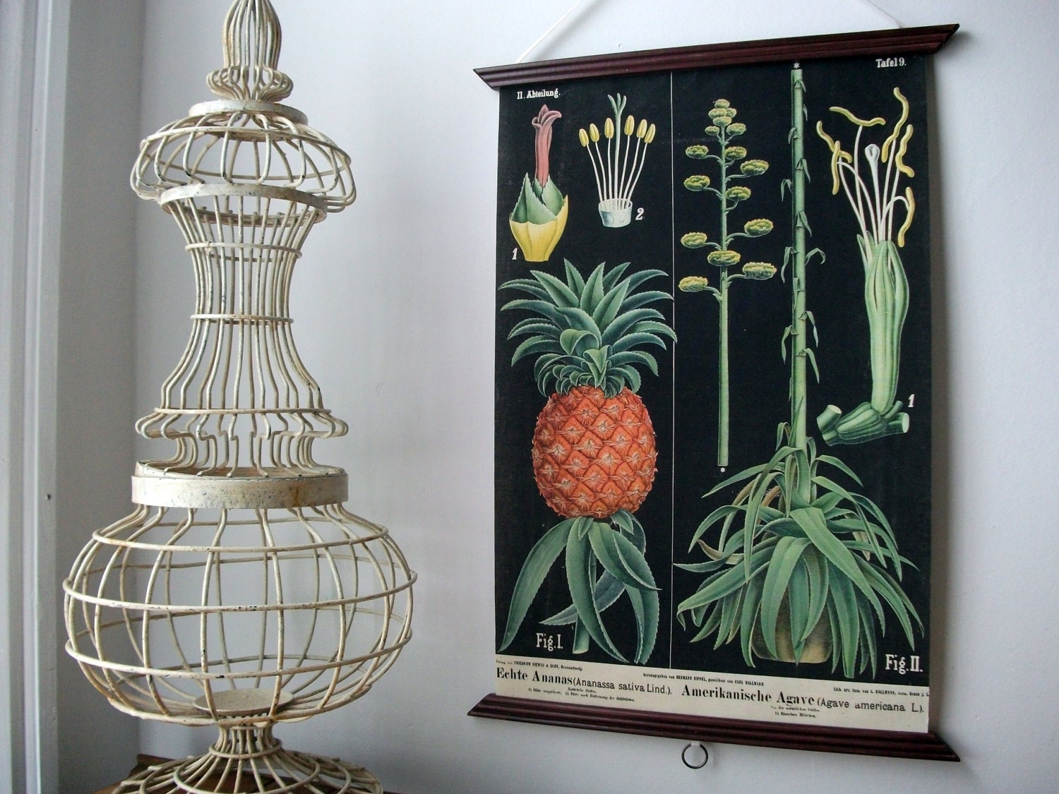 Vintage Pull Down Educational Chart Style Wall Hanging Print on Fabric with Stained Wood Trim  - Botanical Black Pineapple