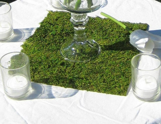 12 Natural Moss Squares for Wedding Centerpieces From mcdonuts