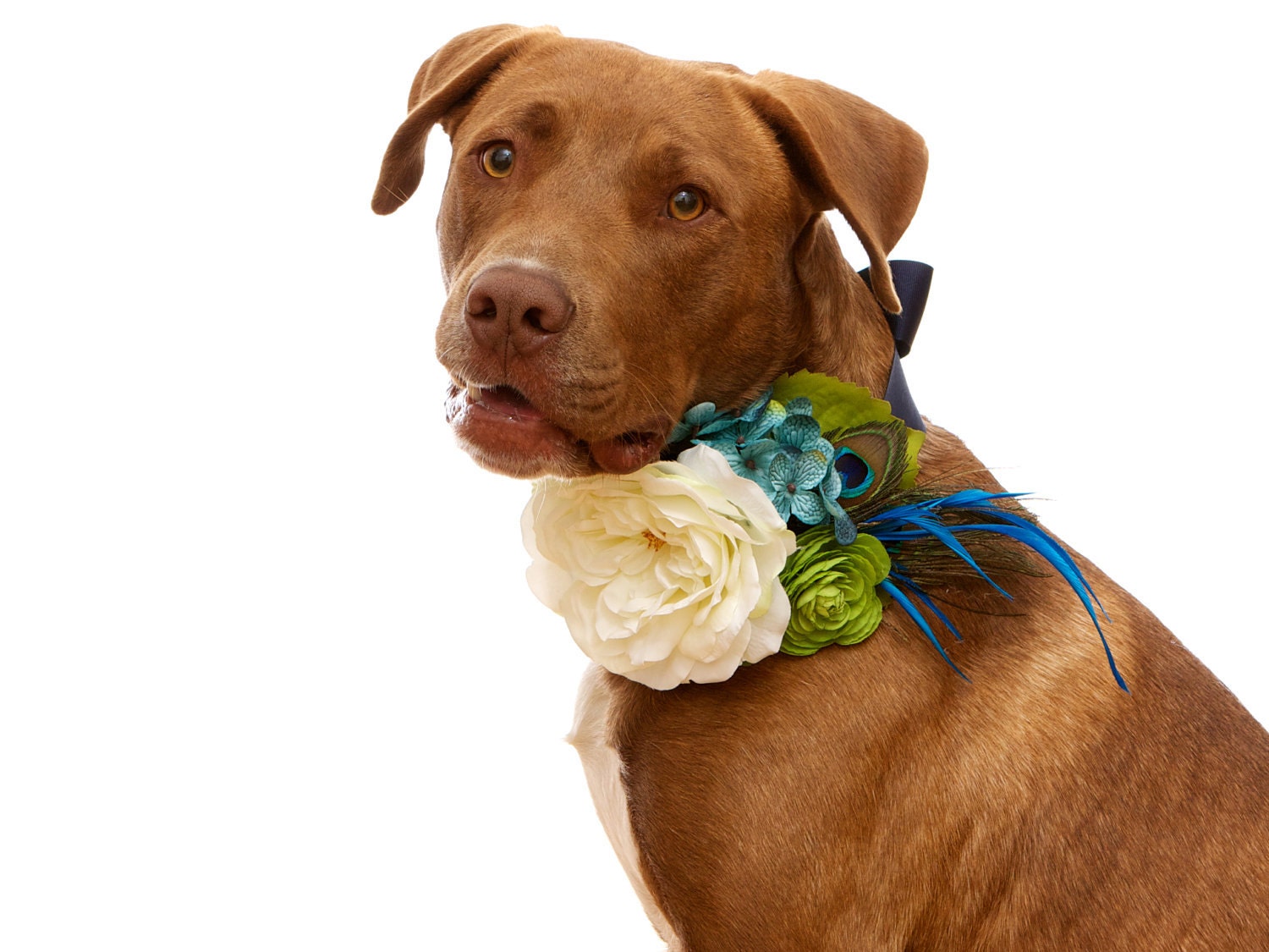 Custom Floral and Satin Canine Wedding Corsage for Dogs: Shown in Navy, Aqua, Teal and Spring Green with Peacock Accents