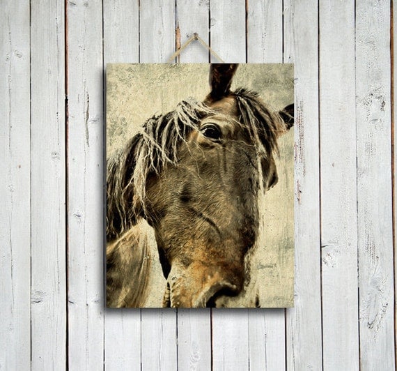 Xerxes - Horse decor - Brown horse - Horse photo - Horse photography - native american style - western decor - brown decor