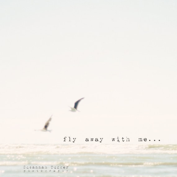 fly away with me, to where we feel the ocean breeze - 8x8" beach photograph - SusannahTucker