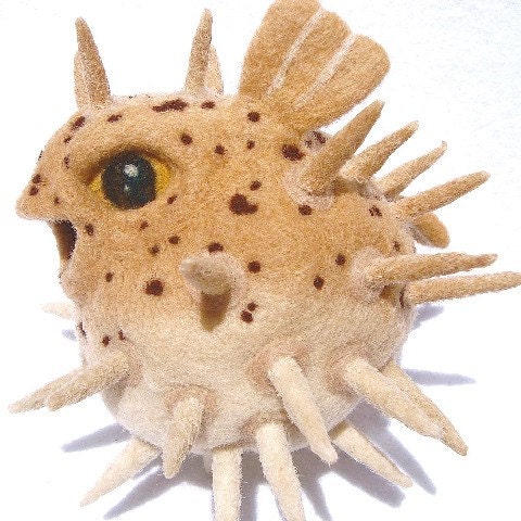 puffer fish puffer fish