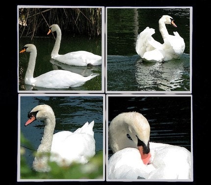 Swan Lake Ceramic Coaster Set $20