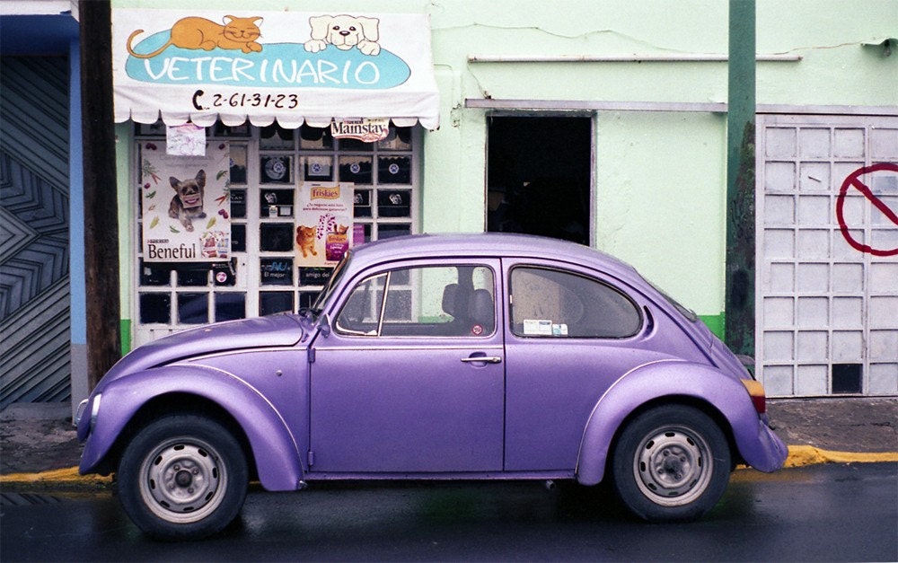 The Purple Mexi-bug - Cholula Mexico, 8x10 print (film)