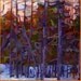 budanArt 8.5 x 11 Print - Muskoka Evening