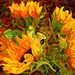 budanArt 8 x 10 Chunky Print - Four Sunflowers