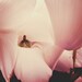 Romance Petals - Fine Art Photograph - 4 foot wall print