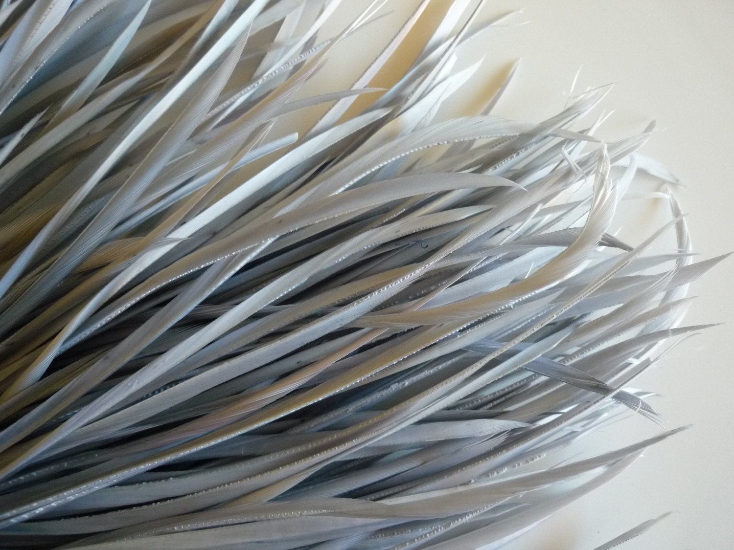 GOOSE BIOT FEATHERS, Silver Grey /  731