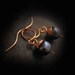 TINY PEARL DROPS (midnight) earrings of freshwater pearls and copper wires
