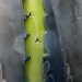 Open Up - Fine Art Photograph - 5 foot wall print