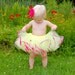 Raspberry Lemonade Dress Up BALLET Costume YELLOW TUTU with Raspberry Trim and Posies