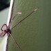 Journal - Recycled Handmade - Green Cotton