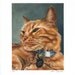 Limited edition giclee print, "Norm" signed and numbered