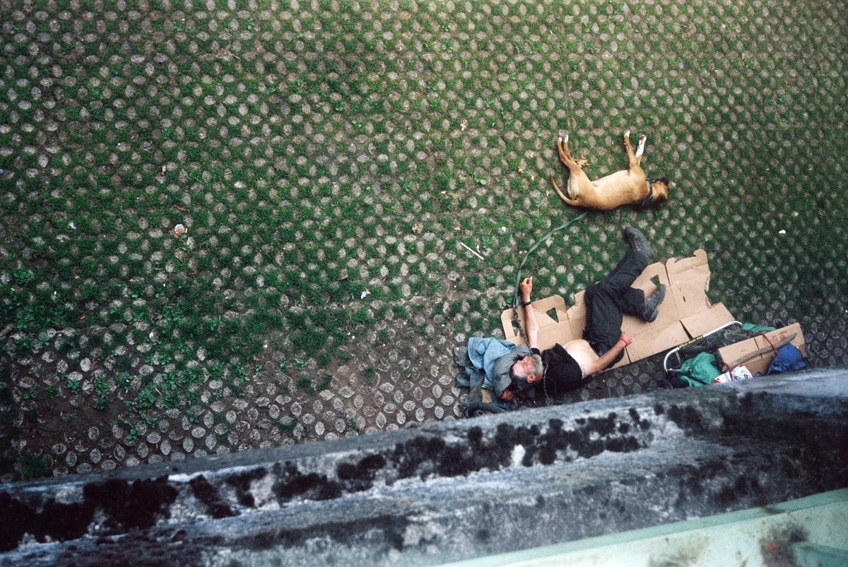 Tanning the Gut - 8x10 Lomography Photo
