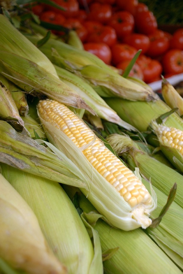 Corn at Farmers Market Print