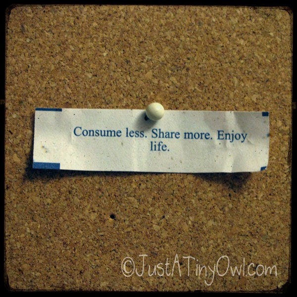 Consume Less. Share More. Enjoy Life. - 8x8 Metallic TTV Style Photograph
