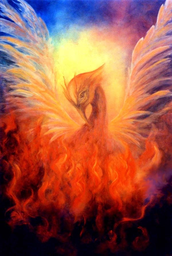Phoenix Rising Art Print Greeting Card Signed by Marina Petro